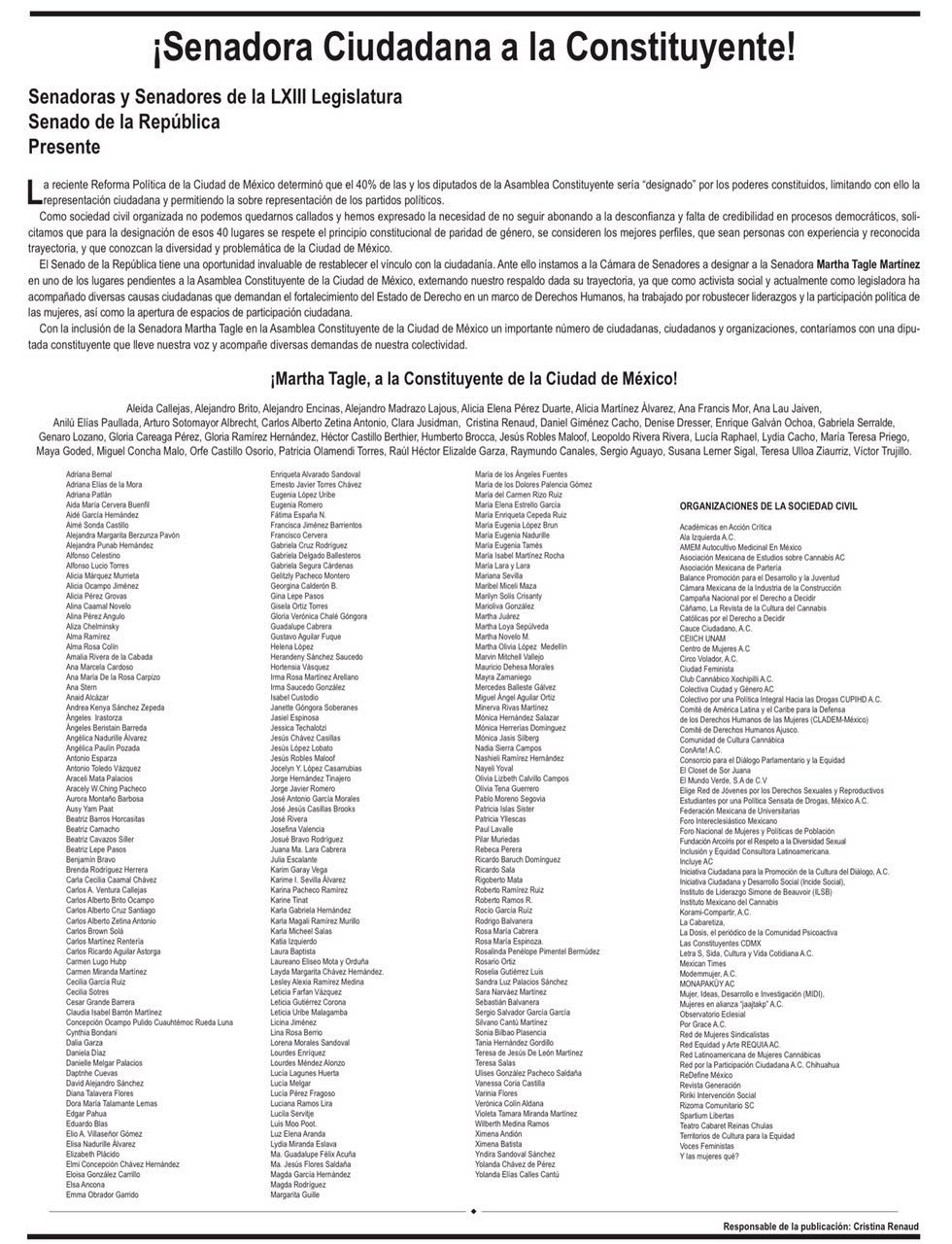 martha-tagle-constituyente