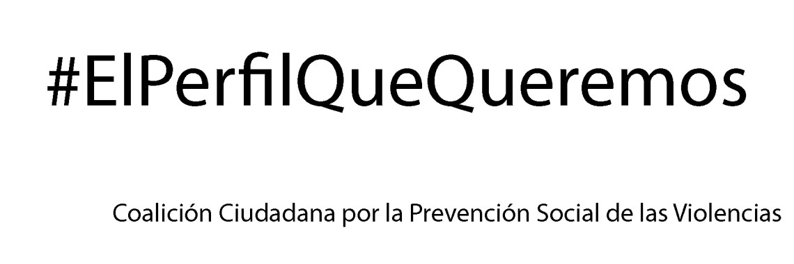 el_perfil_que_queremos
