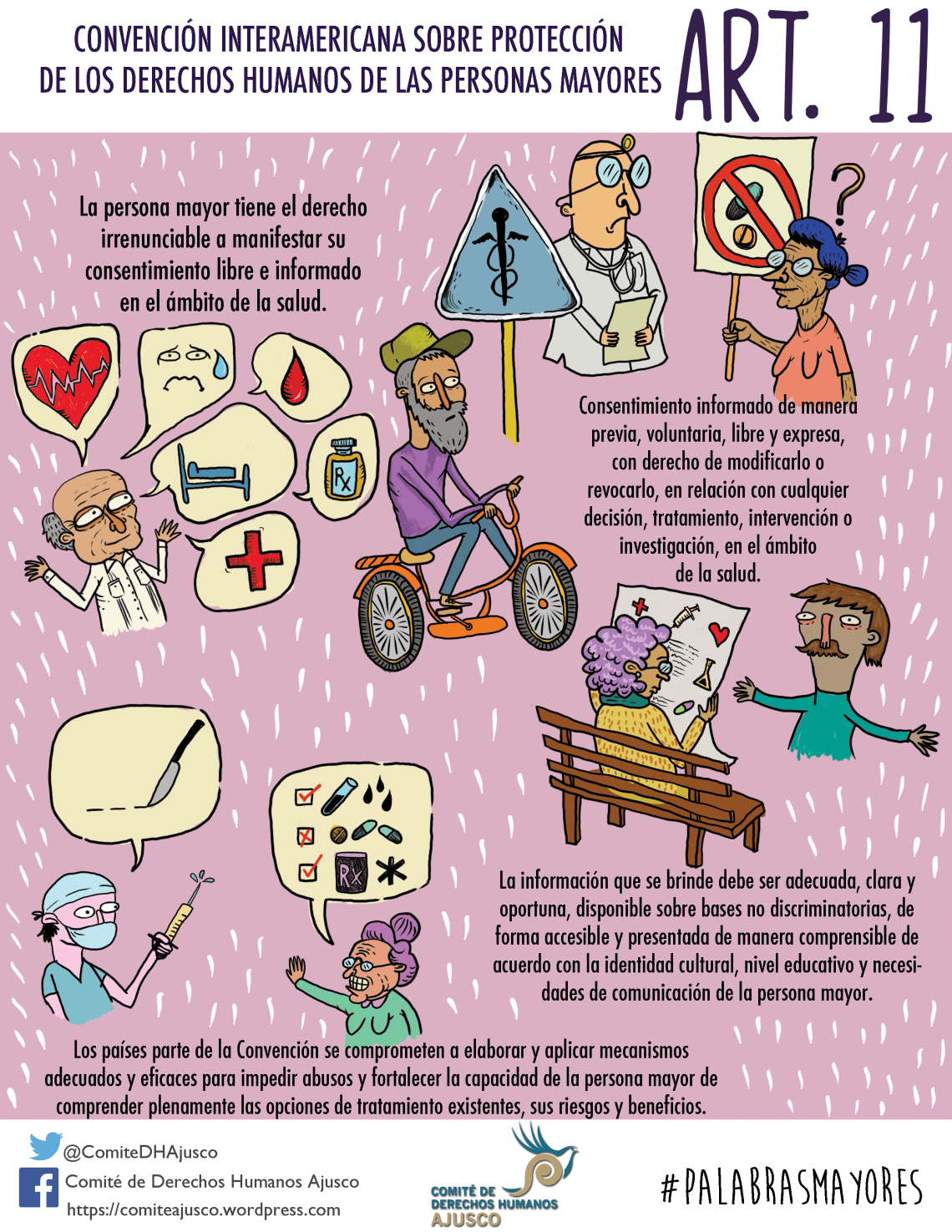 infografia 16 Art. 11A