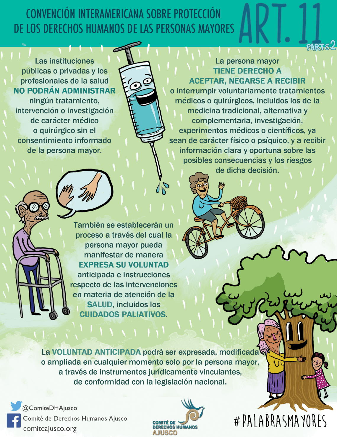 infografia 16 Art. 11b